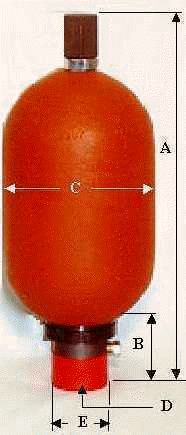 Bladder